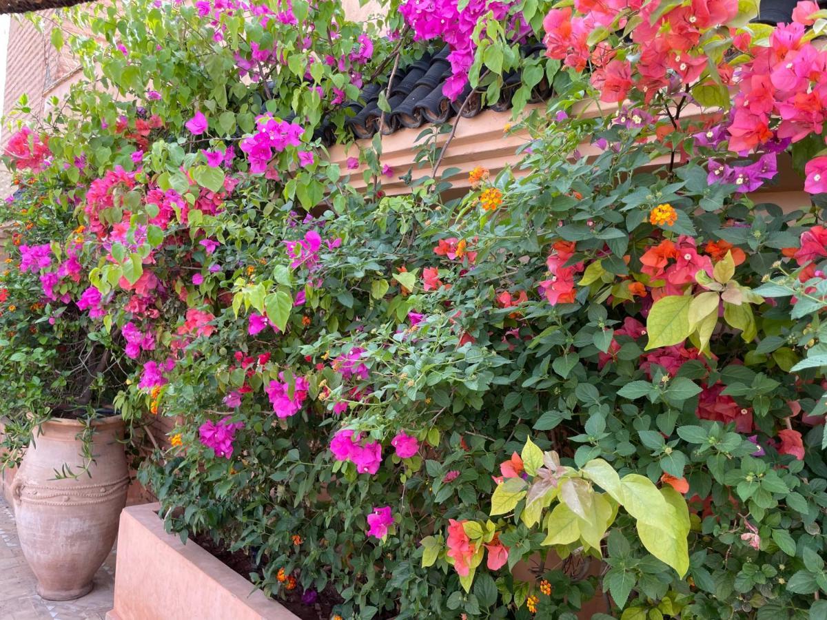 Riad Zouhour Marraquexe Exterior foto