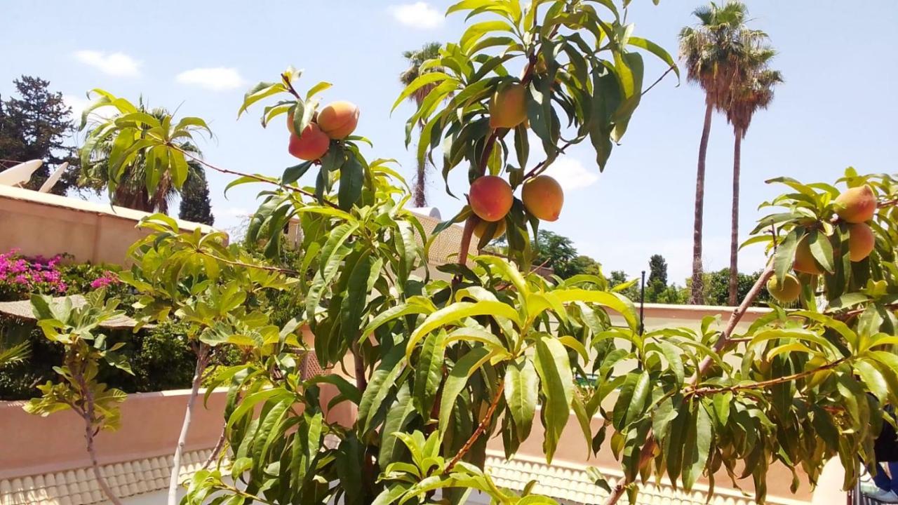 Riad Zouhour Marraquexe Exterior foto