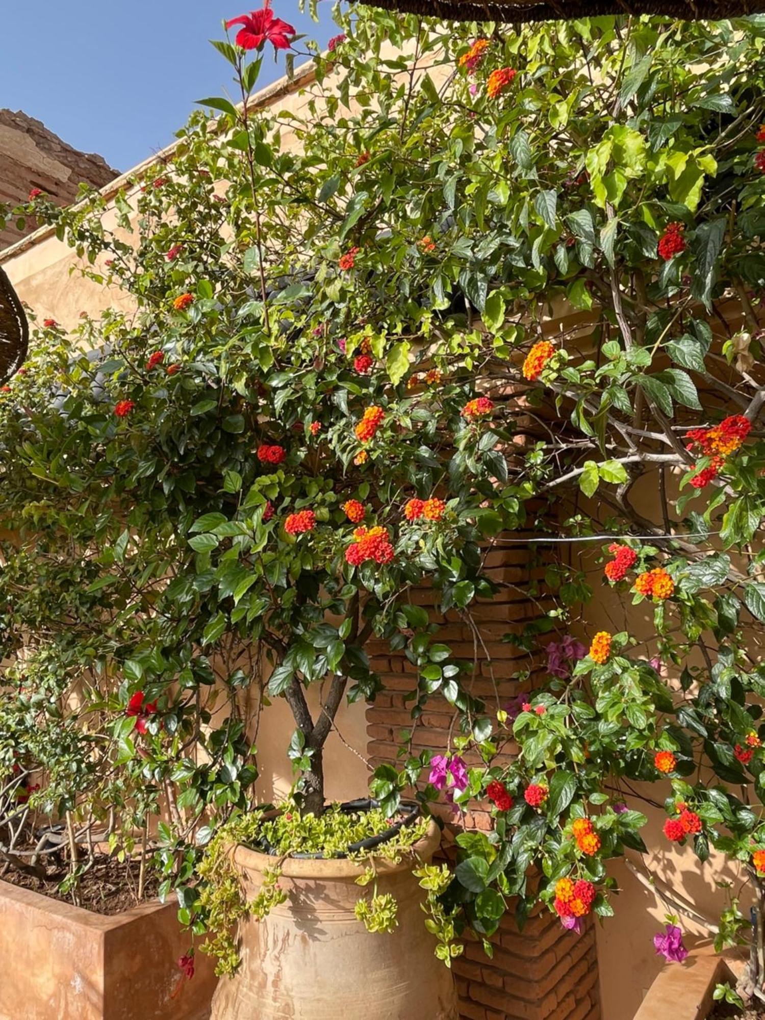 Riad Zouhour Marraquexe Exterior foto